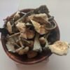 Buy B+ Magic Mushrooms Online in Australia