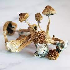 Buy Liberty Cap Mushrooms Online in Australia